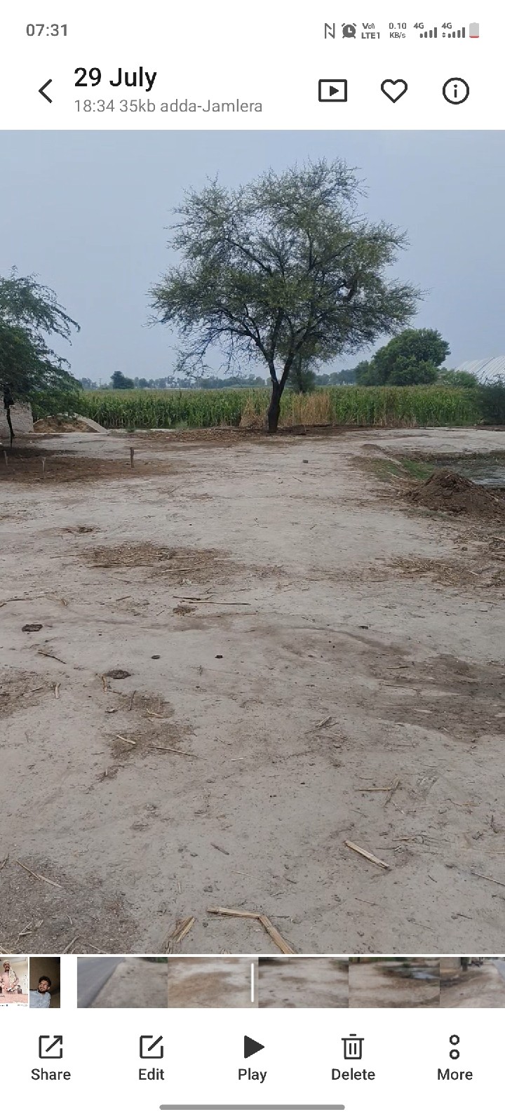 Commercial Farming Land
