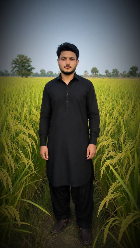 Paddy