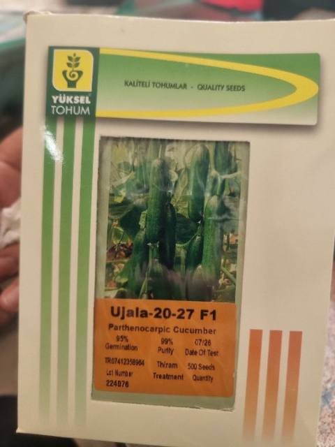 Hybrid Seed