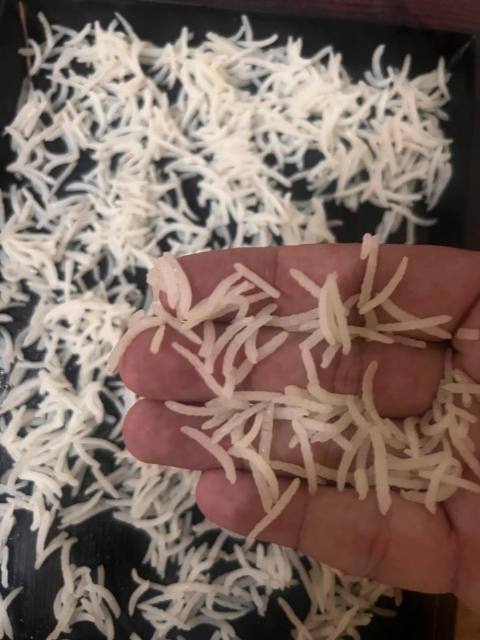 Rice