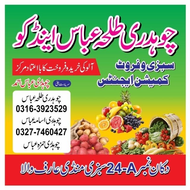 چوھدری طلحہ عباس اینڈ کو