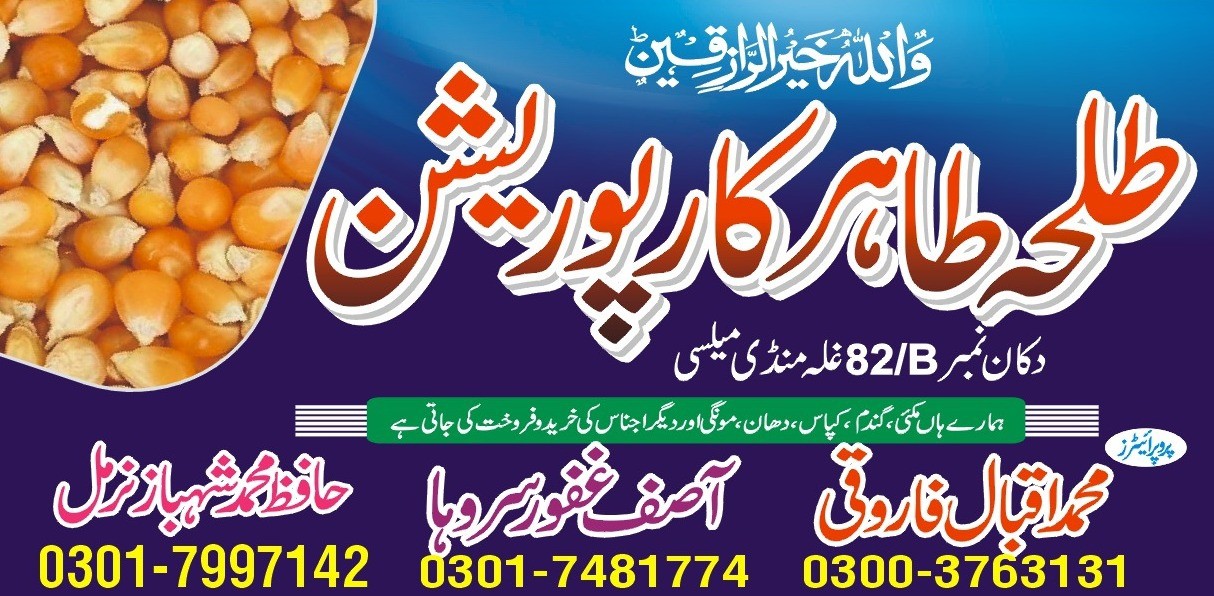 Talha TAHIR CORPORATION