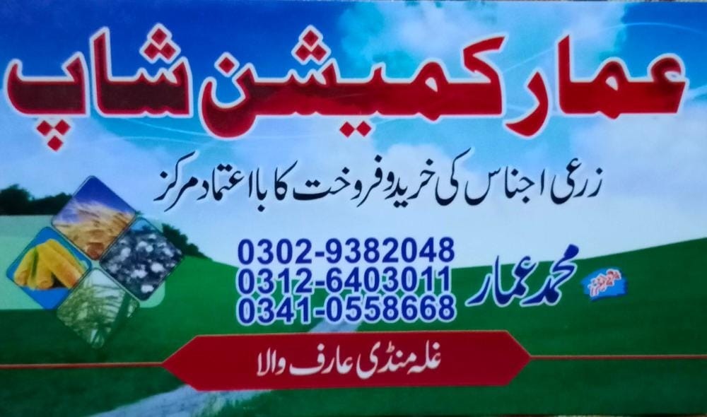 عمار  کمیشن شاپ غلہ منڈی عارفوالا
