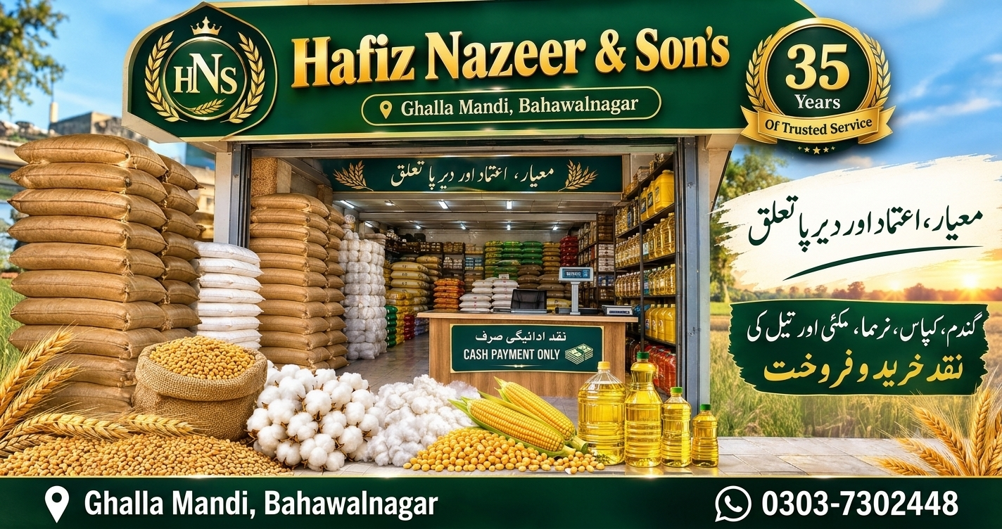 Hafiz Nazeer & Son's