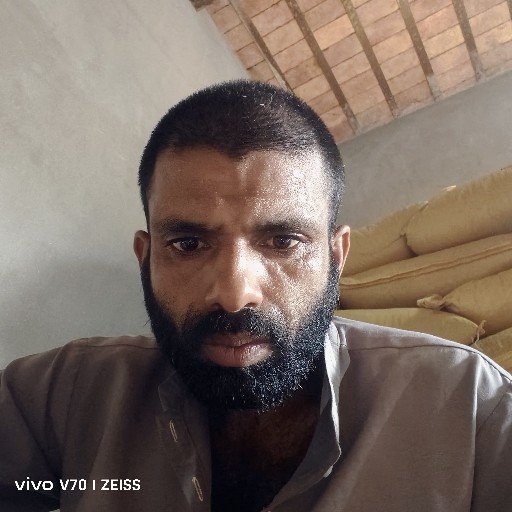 وقاص علی